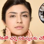 Alum For Skin: పటికను వాడే బెస్ట్ మెథడ్ ఇదే.. ఎలాంటి చర్మ సమస్యలైనా పరార్