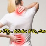 Back Pain: ఇలా చేస్తే.. శాశ్వతంగా బ్యాక్ పెయిన్ దూరం
