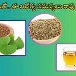 Ajwain Benefits: వాము తింటే ఈ ఆరోగ్య సమస్యలు రమ్మన్నా.. రావు