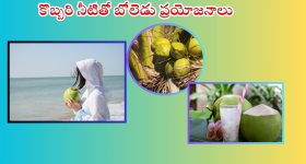 Kolagatla Veerabhadra Swamy: కూతురు కోసం పాట్లు.. జనసేన వైపు కోలగట్ల చూపు? అప్పుడు తిట్లు, ఇప్పుడు పవన్ జపం