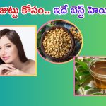 Hair Growth Oil: కరివేపాకు, మెంతి గింజలతో హెయిర్ ఆయిల్.. జుట్టు పెరగడం గ్యారంటీ