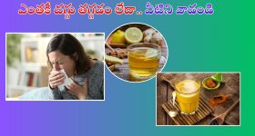 Musi Riverfront Document: మూసీ నది పునరుజ్జీవనం.. ఆపై హైదరాబాద్‌కు పునరుత్తేజం