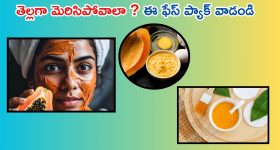 Nagarjuna: కొండా సురేఖపై క్రిమినల్ చర్యలు తీసుకోవాలి.. కోర్టు ముందు నాగ్ ఆవేదన, సుప్రియ సాక్ష్యం