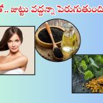Home Remedies For Hair: ఇవి వాడితే.. వద్దన్నా జుట్టు పెరుగుతుంది తెలుసా ?
