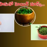 Curry Leaves Hair Mask: కరివేపాకుతో హెయిర్ మాస్క్.. ఇది వాడితే జుట్టు రాలే సమస్యే ఉండదు