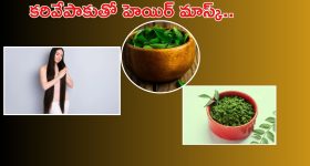 Curry Leaves Hair Mask: కరివేపాకుతో హెయిర్ మాస్క్.. ఇది వాడితే జుట్టు రాలే సమస్యే ఉండదు