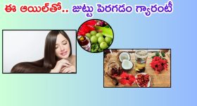 Herbal Hair Oil: ఈ హెర్బల్ హెయిర్ ఆయిల్‌తో.. జుట్టు పెరగడం గ్యారంటీ