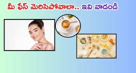 Ratan Tata: రతన్ టాటా వీలునామాలో ఏముందంటే..? కుక్కకు కూడా..