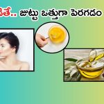 Healthy Hair Tips: వీటితో.. జుట్టు ఒత్తుగా పెరగడం ఖాయం