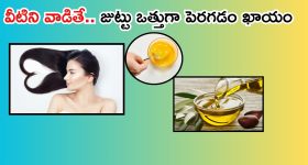 Healthy Hair Tips: వీటితో.. జుట్టు ఒత్తుగా పెరగడం ఖాయం