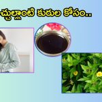 Homemade Bhringraj Hair Oil: ఈ ఆయిల్ 15 రోజులు వాడితే.. జుట్టు ఊడమన్నా ఊడదు