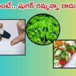 Diabetic diet: ఇవి తింటే షుగర్‌ రమ్మన్నా.. రాదు