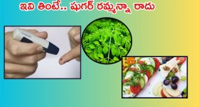 Diabetic diet: ఇవి తింటే షుగర్‌ రమ్మన్నా.. రాదు