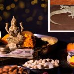 Diwali 2024: దీపావళి రోజు బల్లిని చూస్తే ఏం జరుగుతుందో తెలుసా ?