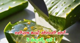 Trump Mc Donalds: మెక్ డొనాల్డ్స్‌లో వంట చేసిన ట్రంప్.. అమెరికా ఎన్నికల్లో ‘ఇండియన్’ ఫార్ములా?