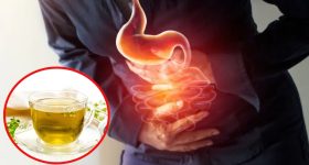 India Export Webley-455: మేడ్ ఇన్ ఇండియా తుపాకులు అమెరికాకు ఎగుమతి.. ఉత్తర్ ప్రదేశ్ లో తయారీ