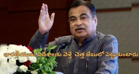 Nitin Gadkari: 'రోడ్డుపై ఉమ్మివేసే వారికి ఇలా చేయండి'.. స్వచ్ఛ భారత్ కోసం నితిన్ గడ్కరీ భలే ఐడియా..
