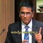 CJI Chandrachud Ayurveda: కరోనా సోకినప్పుడు అల్లోపతి చికిత్స అసలు తీసుకోలేదు.. సిజెఐ చంద్రచూడ్