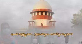 Sania Mirza: మరో పాకిస్థాన్‌ వ్యక్తితో సానియా మీర్జా రెండో పెళ్లి  ?