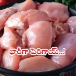 Chicken Rates: మాంసప్రియులకు పండుగ పూట బిగ్ షాక్.. భారీగా పెరిగిన చికెన్ ధరలు.. కేజీ ఎంతంటే?