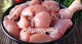 Chicken Rates: మాంసప్రియులకు పండుగ పూట బిగ్ షాక్.. భారీగా పెరిగిన చికెన్ ధరలు.. కేజీ ఎంతంటే?