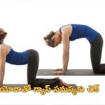 YogaAsanas Help Digestion: గ్యాస్, కడుపు ఉబ్బరం సమస్యలో బాధపడుతున్నారా?. జీర్ణశక్తిని పెంచే యోగాసానాలు ట్రై చేయండి..