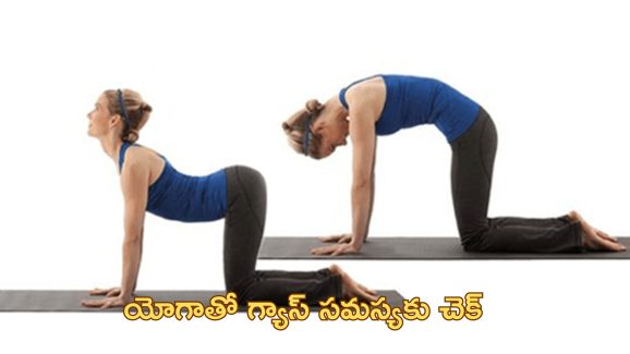 YogaAsanas Help Digestion: గ్యాస్, కడుపు ఉబ్బరం సమస్యలో బాధపడుతున్నారా?. జీర్ణశక్తిని పెంచే యోగాసానాలు ట్రై చేయండి..