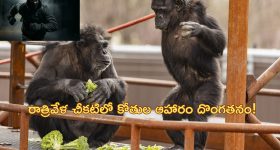 OTT Movie : ప్రేమ పేరుతో వల విసిరి అమ్మాయిల గొంతు కోసే సైకో కిల్లర్... పీడకల లాంటి సస్పెన్స్ థ్రిల్లర్