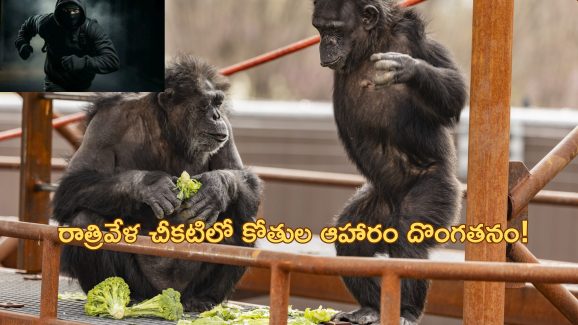 Animal Food Robber: సాలరీ రూ.20 లక్షలు.. కక్కుర్తిపడి జంతువుల ఆహారం దొంగతనం చేసేవాడు!