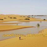 Sahara Desert Floods: ఎడారిలో వరదలు.. ఒక్కరోజులో 100mm భారీ వర్షంతో రికార్డ్!
