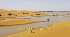 Sahara Desert Floods: ఎడారిలో వరదలు.. ఒక్కరోజులో 100mm భారీ వర్షంతో రికార్డ్!