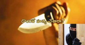 Tripti Dimri : యానిమల్ బ్యూటి చేసిన మొదటి యాడ్?..అస్సలు ఎక్స్పెక్ట్ చేసి ఉండరు..