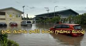 Allu Arjun: డేవిడ్ వార్నర్ కు బన్నీ బర్త్ డే విషెస్.. అలా సంబోధిస్తూ..!