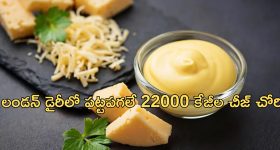 22,000 kg cheese stolen: 22 వేల కిలోల జున్ను చోరీ.. చాలా ఈజీగా పనికానిచ్చిన దొంగలు..