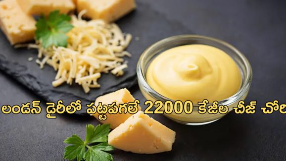 22,000 kg cheese stolen: 22 వేల కిలోల జున్ను చోరీ.. చాలా ఈజీగా పనికానిచ్చిన దొంగలు..