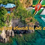 Dominica Citizenship: ‘ఎవరైనా రావొచ్చు’.. తక్కువ ధరకే పౌరసత్వం విక్రయిస్తున్న దేశం ఇదే..