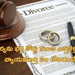 Divorce Man Carry Wife: విడాకుల విచారణ జరుగుతుండగా.. భార్యను కోర్టు నుంచి ఎత్తుకెళ్లిన భర్త.. చివరికి ఏమైదంటే..