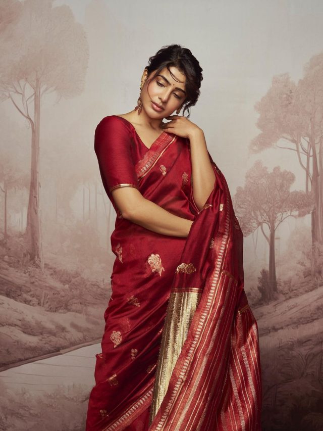 నవరాత్రి శారీ లుక్స్.. ఈ హీరోయిన్స్ కలెక్షనే ఇన్‌స్పిరేషన్
