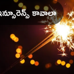 Phone Pay Diwali Insurence : దీపావళి టపాసుల నుంచి రక్షణ – కేవంల రూ.9కే ఫోన్‌ పే బీమా పాలసీ