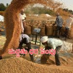 Good News for Farmers: రైతులకు కేంద్రం గుడ్ న్యూస్.. మద్దతు ధర పెంపు