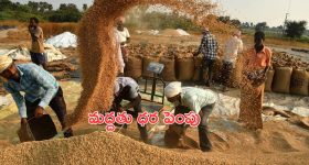 Good News for Farmers: రైతులకు కేంద్రం గుడ్ న్యూస్.. మద్దతు ధర పెంపు
