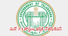 Telangana Jobs: గుడ్ న్యూస్.. వైద్య ఆరోగ్య శాఖలో మరో 371 పోస్టుల భర్తీకి నోటిఫికేషన్
