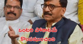 Sanjay Raut: హర్యానాలో ఓటమికి కాంగ్రెస్‌దే బాధ్యత.. సంజయ్ రౌత్ సంచలన వ్యాఖ్యలు