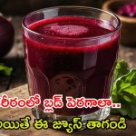 Beetroot Juice: శరీరంలో బ్లడ్ పెరగాలా ? ఈ జ్యూస్ తాగితే సరి
