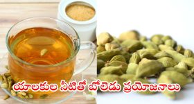 Cardamom Water: యాలకుల నీటితో ఈ సమస్యలన్నీ దూరం