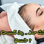 Hair Spa: ఇంట్లోనే హెయిర్ స్పా.. ఎలా చేసుకోవాలో తెలుసా ?