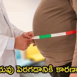 Obesity Causes: బరువు పెరగడానికి ప్రధాన కారణాలు ఇవే !