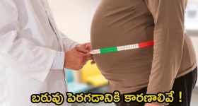 Obesity Causes: బరువు పెరగడానికి ప్రధాన కారణాలు ఇవే !