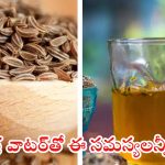 Jeera Water: జీలకర్ర వాటర్‌తో ఈ ఆరోగ్య సమస్యలన్నీ పరార్ !