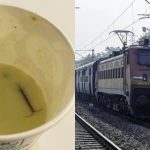IRCTC: రైల్వే ఫుడ్ లో జెర్రి.. అధికారుల తీరుపై నెటిజన్ల ఆగ్రహం